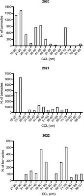 Learning from Caretta caretta (Linnaeus, 1758) epibionts: a study from the Adriatic Sea